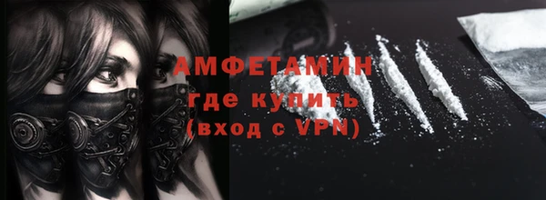 прущие грибы Билибино
