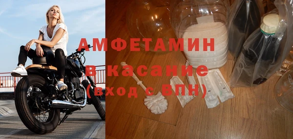 прущие грибы Билибино