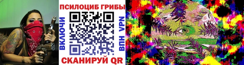 Псилоцибиновые грибы Psilocybe  Полярные Зори 